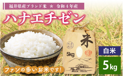 e30-a020] ハナエチゼン 5kg 令和4年 福井県産【白米】【お米 はなえち
