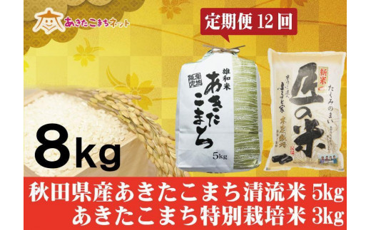 全12回（月2回）定期便】栽培期間中 農薬不使用のお米 ヒノヒカリ 5kg