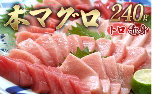 【串本町×北山村】本マグロ（養殖）トロ＆赤身セット 240g 【1ヶ月以内に発送】 まぐろ マグロ 鮪 中トロ 赤身 柵