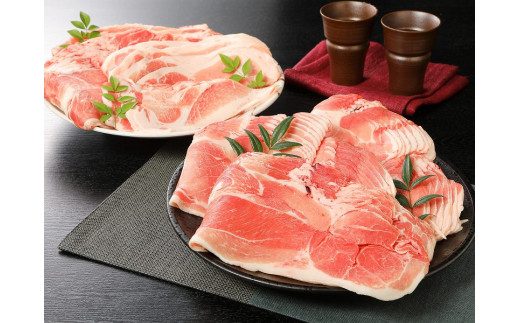 【訳あり】宮崎県産豚切落し3kg(500g×6パック)  K16_0052_4
