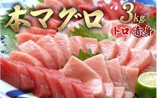 【串本町×北山村】本マグロ（養殖）トロ＆赤身セット 3kg　【通常発送】