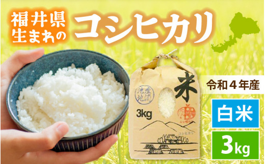 e30-a006] コシヒカリ 3kg 令和4年 福井県産【白米】【お米 こしひかり