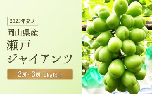 GJ28 【2023年発送】岡山県産 瀬戸ジャイアンツ ２房～３房 （1kg以上