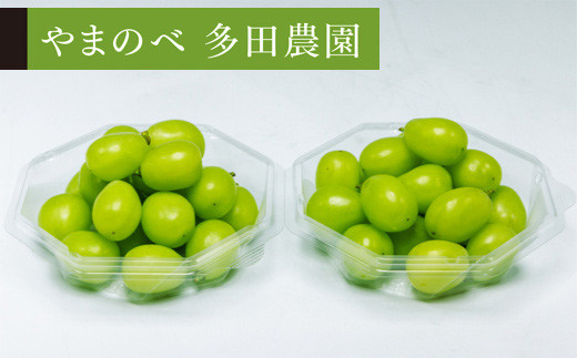 株式会社 多田農園」のふるさと納税 お礼の品一覧【ふるさとチョイス】