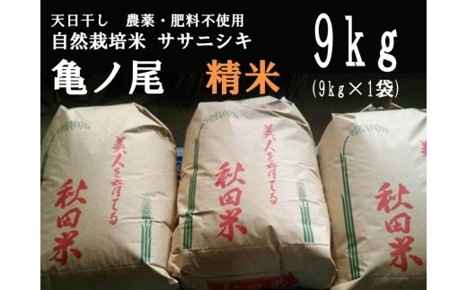 2023年11月中旬発送開始】〈先行予約 令和五年産〉天日干し 農薬・肥料