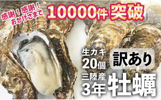 三陸産 殻つき牡蠣 生牡蠣 3年牡蠣 20個 5kg