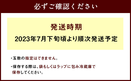 八代市 吉野梨 幸水 5kg 梨 果物 幸水梨