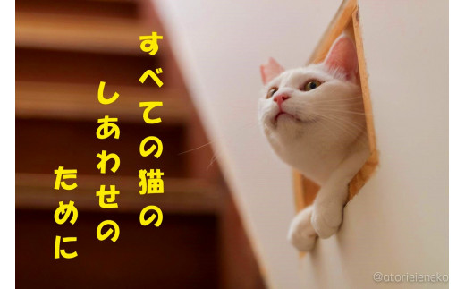 【保護猫応援！】グッズセット（猫の食事台Mタイプ）