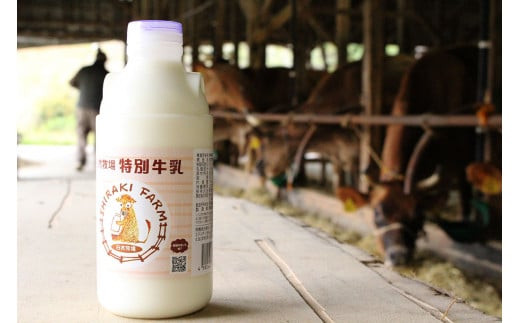 【3ヶ月定期便】 白木牧場 特別牛乳 750ml×3本 低温殺菌 牛乳 ジャージー牛乳 高品質 福岡県 嘉麻市