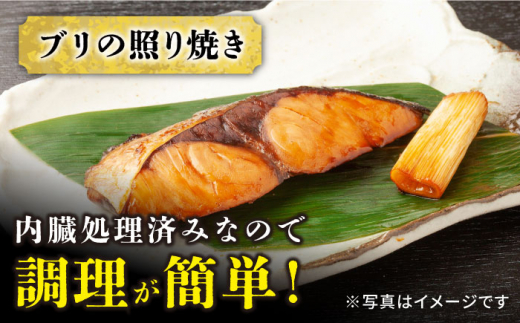 【着日指定可】【呼子ノ瀬戸名物】 養殖 ブリ 「光鰤」半身 皮付き 約1.6～1.8kg＜小山水産＞ [CDZ005]|有限会社小山水産