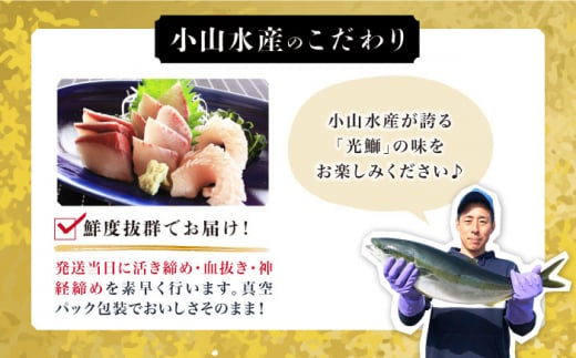 【着日指定可】【呼子ノ瀬戸名物】 養殖 ブリ 「光鰤」半身 皮付き 約1.6～1.8kg＜小山水産＞ [CDZ005]|有限会社小山水産