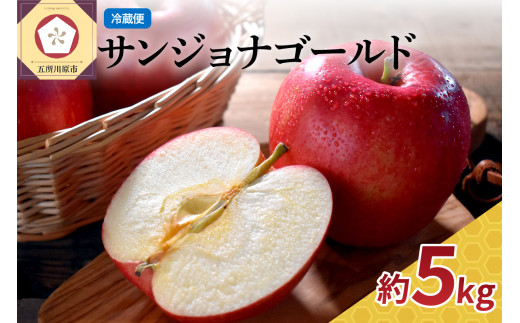 りんご 5kg 程度 特選 【発送時期が選べる】 サンジョナゴールド 酸味の好きな方 【スマートフレッシュ貯蔵またはCA貯蔵】 クール 青森 五所川原