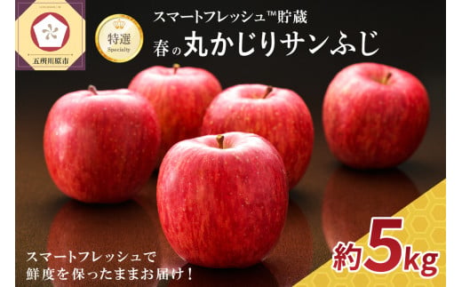 【選べる配送時期】りんご春のサンふじ特選丸かじり5kgスマートフレッシュ™️貯蔵