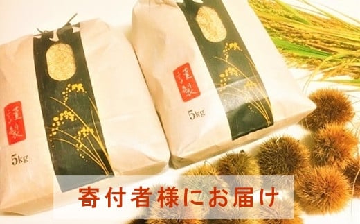 ◆【お米シェア】実生庵の近江米【四季風流】精米5kg×2袋 滋賀県高島市産コシヒカリ 生産者直売100%