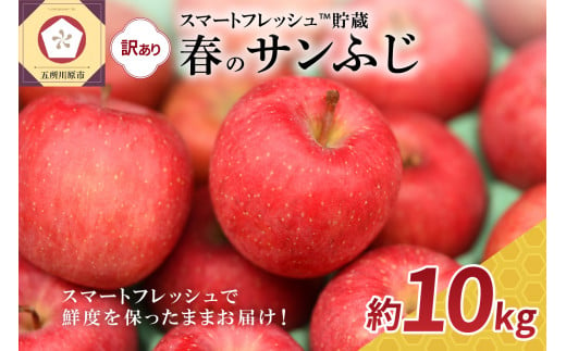 【選べる配送時期】りんご春のサンふじ訳あり10kgスマートフレッシュ™️貯蔵