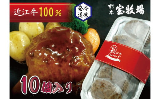 ◆【10個入】近江牛ハンバーグ