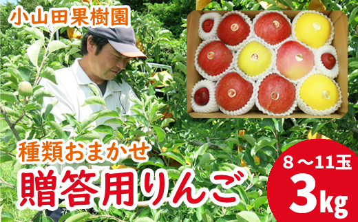 ＜令和６年産＞贈答用 滝沢りんご 種類おまかせセット ３kg（約８～11個）【小山田果樹園】 / リンゴ 林檎 食べ比べ 689889 - 岩手県滝沢市