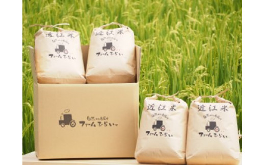 ◆【令和5年産】ファーム・ひらい　環境こだわり米コシヒカリ（玄米5kg×4）