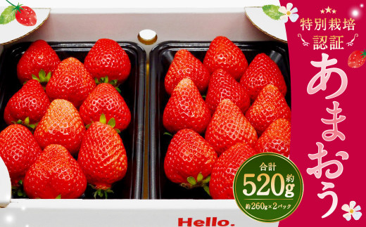 あまおう 約520g (約260g×2パック(1箱)) いちご フルーツ 632074 - 福岡県志免町