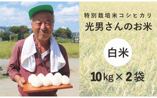 ◆特別栽培米 コシヒカリ光男さんのお米 白米  10kg×2袋