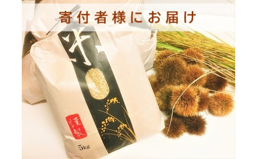 ◆【お米シェア】実生庵の近江米【四季風流】精米5kg×1袋 滋賀県高島市産コシヒカリ 生産者直売100%