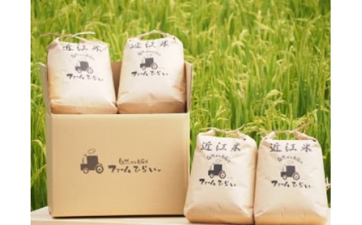 ◆【令和5年産】ファーム・ひらい　環境こだわり米コシヒカリ（白米5kg×2・玄米5kg×2）