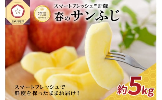 【選べる配送時期】りんご春のサンふじ特選5kgスマートフレッシュ™️貯蔵
