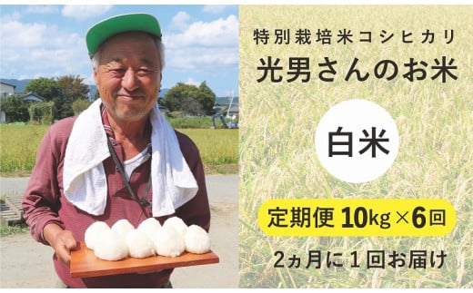 ◆【定期便6回】 特別栽培米 コシヒカリ  光男さんのお米 白米 10kg
