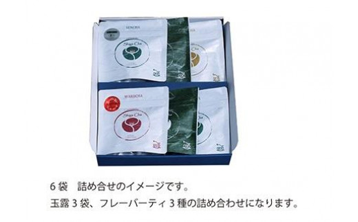 Shigachaティーバッグアラカルト6袋入　（Premium玉露3袋＆フレーバーティー3種）