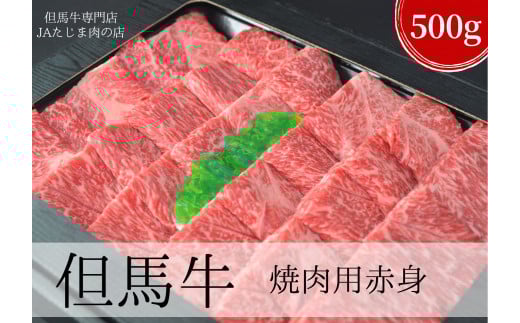 【但馬牛 焼肉用 赤身 モモ 肩 冷凍 500g 冷凍 産地直送】 受注後順次発送します。発送目安：入金確認後3週間以内で発送となります。※配送日の指定はできません。日本の黒毛和牛のルーツは香美町にあり 但馬牛は神戸牛、仙台牛、飛騨牛のルーツ牛です 牛肉 しゃぶしゃぶ すき焼き 焼肉 和牛 兵庫県 但馬 神戸 香美町 村岡 小代 和牛の聖地香美町よりお届け JAたじま肉の店 本店 12-15