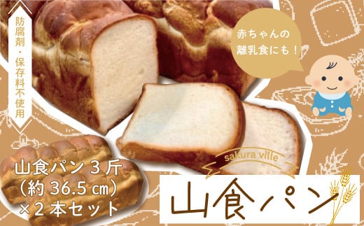 R5-354．sakura ville特製 四万十の山食パン2本セット 1066829 - 高知県四万十市