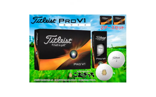 【新品】Titleist　ProV1  ゴルフボール 2ダース