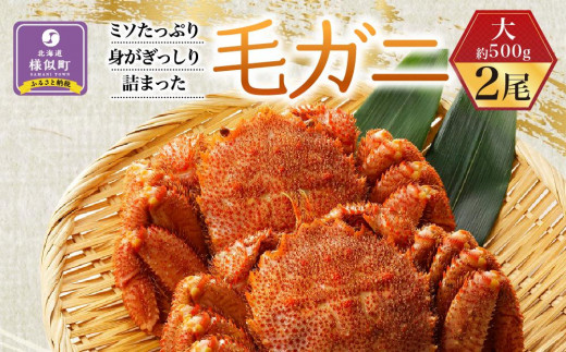 【ミソたっぷり身がぎっしり詰まった】＜毛がに(大)＞約500ｇ×2尾