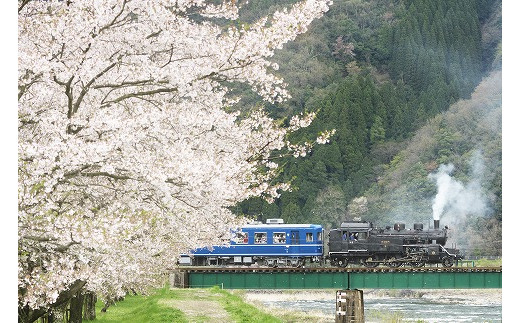 若桜鉄道SL走行社会実験（H27年4月）※画像はイメージです
