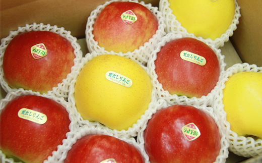 小山田果樹園では贈答用のりんごも生産しています。