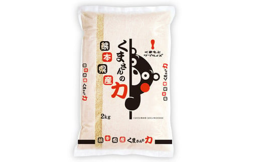 【年6回定期便】熊本県産米 食べ比べセット 2kg×3袋 合計6kg