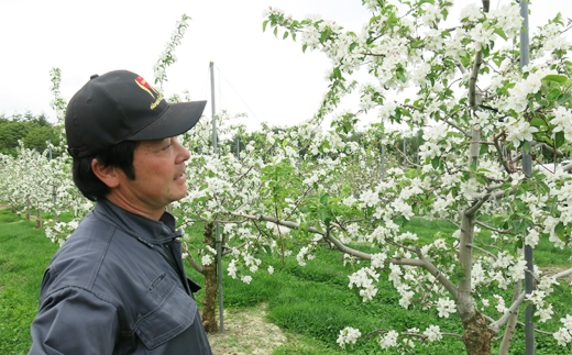 生産者の小山田さん。木や花の状態から収穫まできちんと管理します。