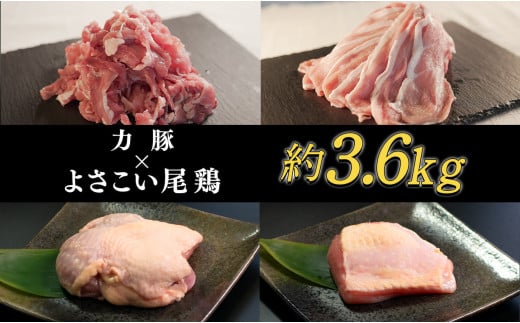 【大月町産】よさこい尾鶏×力豚セット 790759 - 高知県大月町