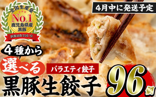 No.429-v-m04 ＜2025年4月中に発送予定＞鹿児島黒豚使用の黒豚バラエティ餃子(計96個・12個入り×2パック×4種)国産 九州産 ぎょうざ ギョウザ 冷凍 黒豚 豚肉 お肉 おかず【末永商店】