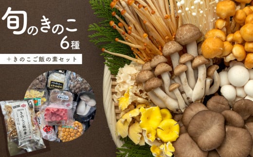 旬のきのこ6種+きのこご飯の素セット 780952 - 長野県千曲市