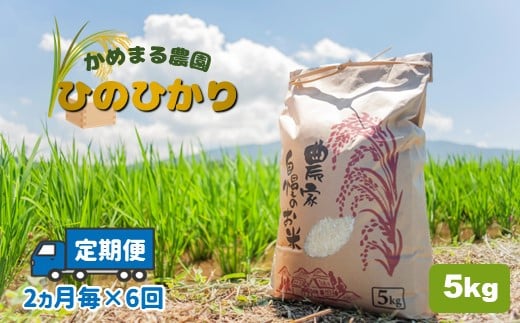 12回定期便】ヒノヒカリ 無洗米 6kg【有限会社 農産ベストパートナー