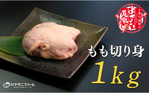 【大月町のブランド鶏】よさこい尾鶏 もも肉（200ｇ）×5パック 790754 - 高知県大月町