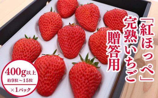 紅ほっぺ」完熟いちご 贈答用 400g M-FI-A05A 640047 - 岡山県西粟倉村 