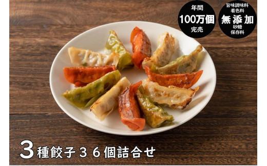 年間100万個完売！【3種餃子36個詰合せ】餃子の餃天｜ふるラボ