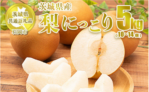 梨 にっこり 約5kg（10～14個） 