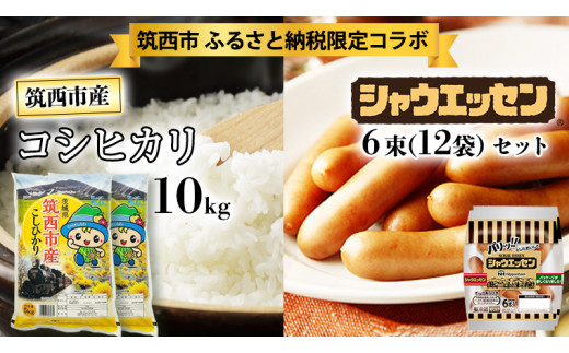 ふるさと納税 【 定期便 6ヶ月 】 茨城県筑西市産 コシヒカリ 10kg 米