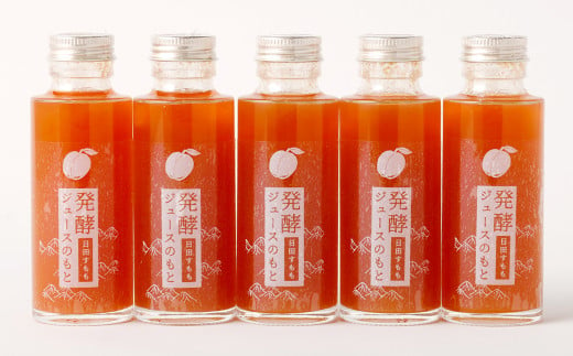 Ａ－２０６ 発酵 ジュース のもと 日田 すもも 5本 セット