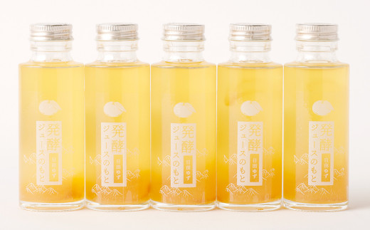 Ａ－２０３ 発酵 ジュース のもと 日田 ゆず 5本 セット