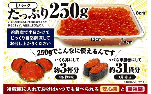 北海道海鮮紀行いくら(醤油味)【500g(250g×2)】（20000円） - 北海道