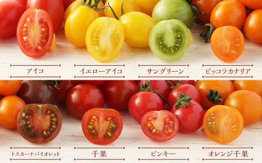 熊本のトマト三昧(ミニ2kg＋桃太郎トマト14個) とまと ミニトマト